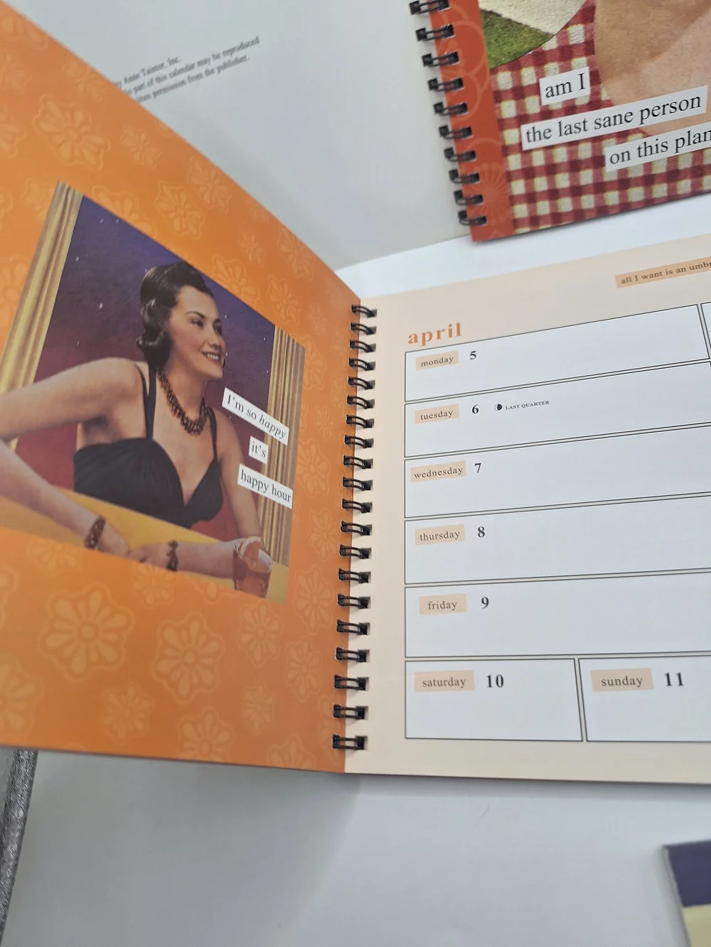 Anne Taintor Engagement Calendar Lot 2009 2019 Retro Humor Planners Notebook